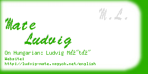 mate ludvig business card